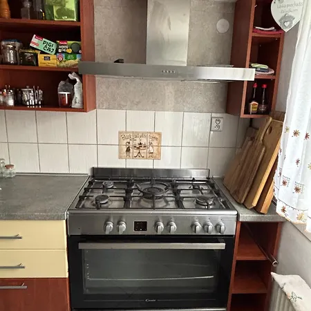 Zeleny Domcek ゲストハウス