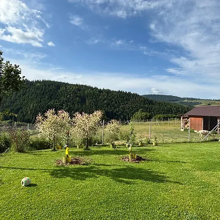 Zeleny Domcek Pensión 3*